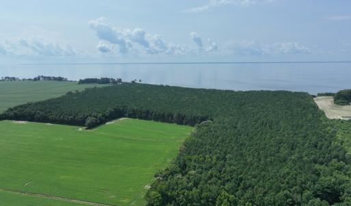 Photo #9 of SOLD property in Off New Hope Road, Hertford, NC 67.9 acres
