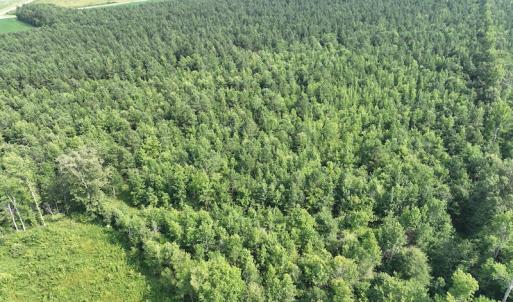 Photo #2 of SOLD property in Off Bryantown Road, Rich Square, NC 14.4 acres