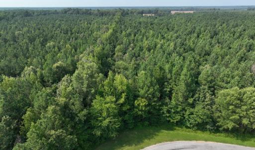 Photo #11 of SOLD property in Off Bryantown Road, Rich Square, NC 14.4 acres