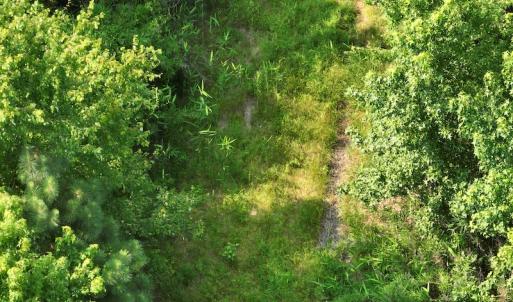 Photo #14 of SOLD property in Off Bryantown Road, Rich Square, NC 14.4 acres