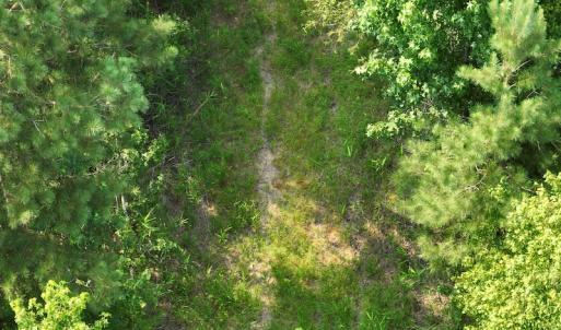 Photo #17 of SOLD property in Off Bryantown Road, Rich Square, NC 14.4 acres