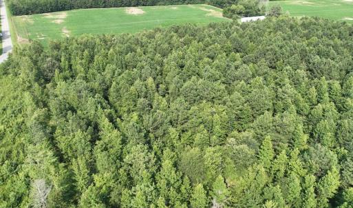 Photo #19 of SOLD property in Off Bryantown Road, Rich Square, NC 14.4 acres