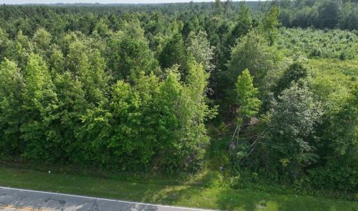 Photo #20 of SOLD property in Off Bryantown Road, Rich Square, NC 14.4 acres