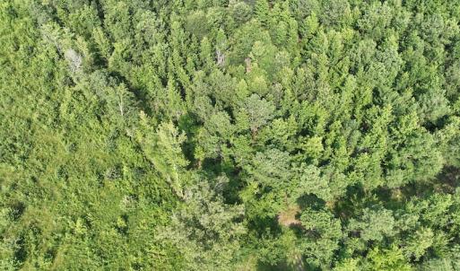Photo #3 of SOLD property in Off Bryantown Road, Rich Square, NC 14.4 acres