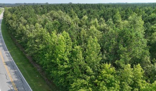Photo #21 of SOLD property in Off Bryantown Road, Rich Square, NC 14.4 acres