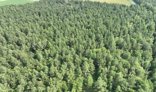 Photo #8 of SOLD property in Off Bryantown Road, Rich Square, NC 14.4 acres