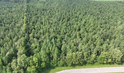 Photo #10 of SOLD property in Off Bryantown Road, Rich Square, NC 14.4 acres