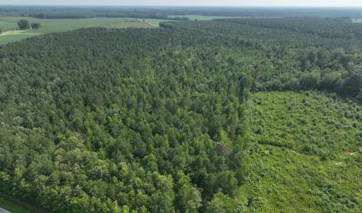 Photo #22 of SOLD property in Off Bryantown Road, Rich Square, NC 14.4 acres