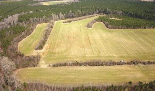 Photo #3 of 7245 General Mahone Hwy , Waverly, VA 62.0 acres