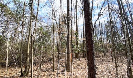 Photo #38 of 7245 General Mahone Hwy , Waverly, VA 62.0 acres