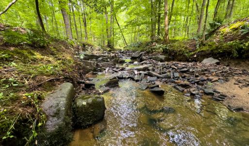 Photo #4 of SOLD property in Off Stoneridge Drive, Stem, NC 23.9 acres