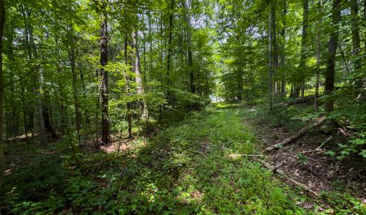 Photo #9 of SOLD property in Off Stoneridge Drive, Stem, NC 23.9 acres