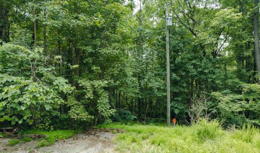 Photo #13 of SOLD property in Off Stoneridge Drive, Stem, NC 23.9 acres