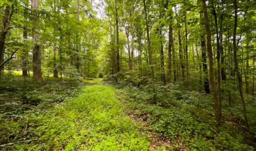 Photo #17 of SOLD property in Off Stoneridge Drive, Stem, NC 23.9 acres