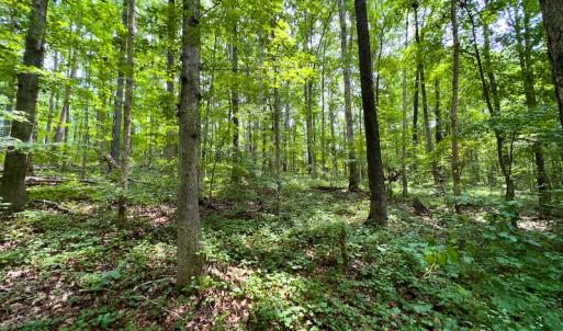 Photo #21 of SOLD property in Off Stoneridge Drive, Stem, NC 23.9 acres