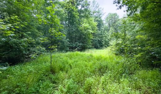 Photo #23 of SOLD property in Off Stoneridge Drive, Stem, NC 23.9 acres
