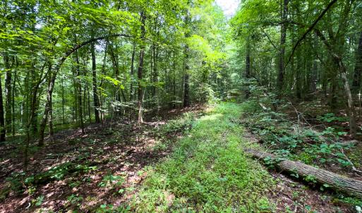 Photo #26 of SOLD property in Off Stoneridge Drive, Stem, NC 23.9 acres