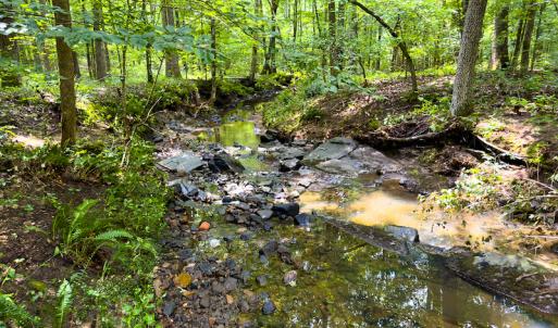 Photo #30 of SOLD property in Off Stoneridge Drive, Stem, NC 23.9 acres