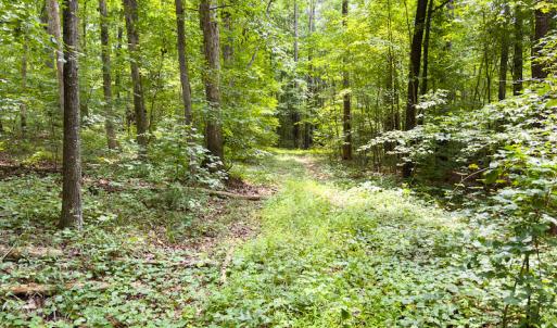 Photo #32 of SOLD property in Off Stoneridge Drive, Stem, NC 23.9 acres