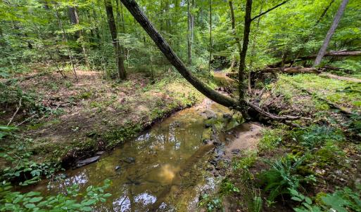 Photo #35 of SOLD property in Off Stoneridge Drive, Stem, NC 23.9 acres