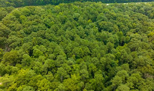Photo #36 of SOLD property in Off Stoneridge Drive, Stem, NC 23.9 acres