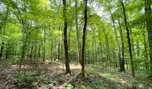 Photo #37 of SOLD property in Off Stoneridge Drive, Stem, NC 23.9 acres