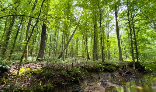 Photo #39 of SOLD property in Off Stoneridge Drive, Stem, NC 23.9 acres