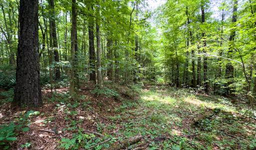 Photo #41 of SOLD property in Off Stoneridge Drive, Stem, NC 23.9 acres