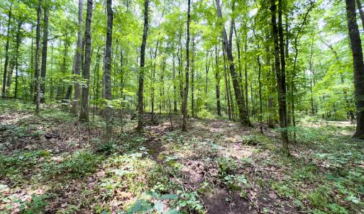 Photo #43 of SOLD property in Off Stoneridge Drive, Stem, NC 23.9 acres
