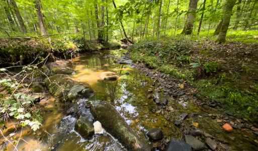 Photo #45 of SOLD property in Off Stoneridge Drive, Stem, NC 23.9 acres