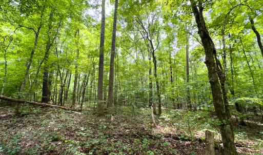 Photo #47 of SOLD property in Off Stoneridge Drive, Stem, NC 23.9 acres