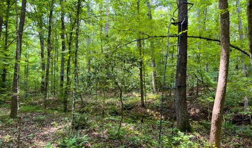 Photo #49 of SOLD property in Off Stoneridge Drive, Stem, NC 23.9 acres