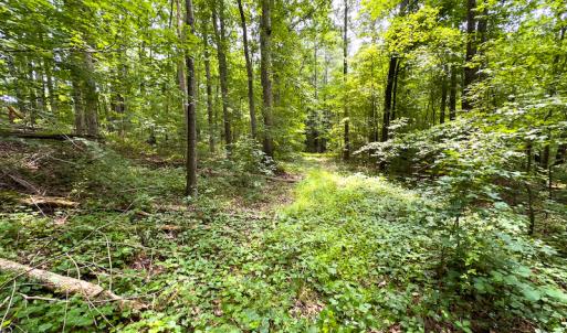 Photo #51 of SOLD property in Off Stoneridge Drive, Stem, NC 23.9 acres