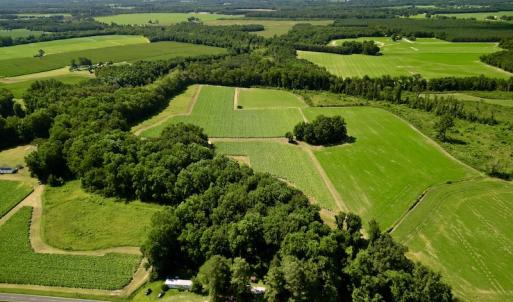 Photo #2 of SOLD property in Off Howell Swamp Church rd, Walstonburg, NC 26.1 acres