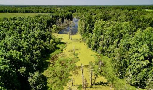 Photo #11 of SOLD property in Off Howell Swamp Church rd, Walstonburg, NC 26.1 acres