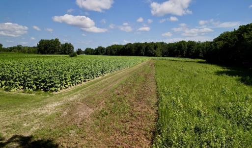 Photo #13 of SOLD property in Off Howell Swamp Church rd, Walstonburg, NC 26.1 acres
