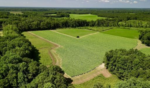 Photo #15 of SOLD property in Off Howell Swamp Church rd, Walstonburg, NC 26.1 acres