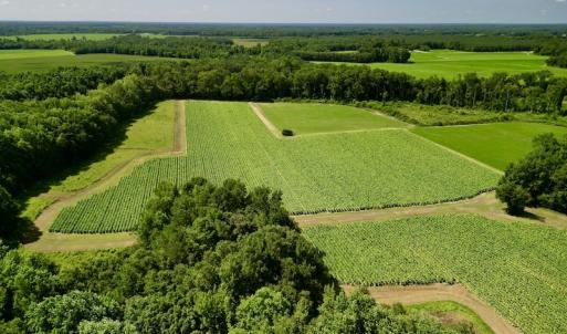 Photo #16 of SOLD property in Off Howell Swamp Church rd, Walstonburg, NC 26.1 acres