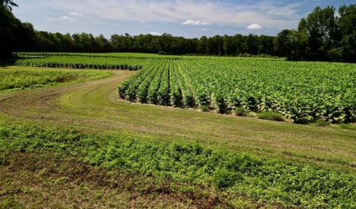 Photo #19 of SOLD property in Off Howell Swamp Church rd, Walstonburg, NC 26.1 acres
