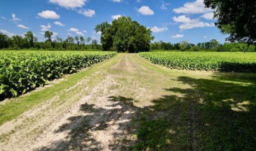 Photo #20 of SOLD property in Off Howell Swamp Church rd, Walstonburg, NC 26.1 acres