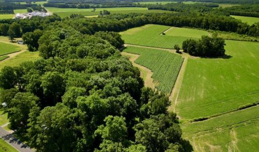 Photo #3 of SOLD property in Off Howell Swamp Church rd, Walstonburg, NC 26.1 acres