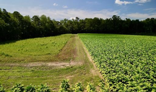 Photo #23 of SOLD property in Off Howell Swamp Church rd, Walstonburg, NC 26.1 acres