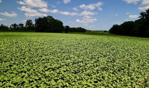 Photo #24 of SOLD property in Off Howell Swamp Church rd, Walstonburg, NC 26.1 acres