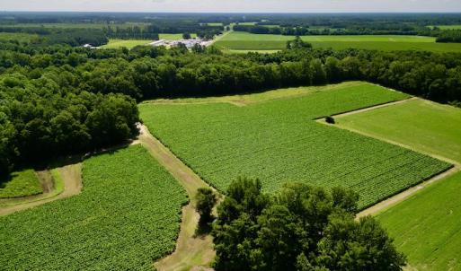 Photo #5 of SOLD property in Off Howell Swamp Church rd, Walstonburg, NC 26.1 acres