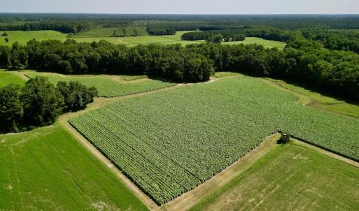 Photo #6 of SOLD property in Off Howell Swamp Church rd, Walstonburg, NC 26.1 acres