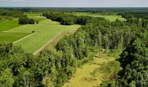 Photo #8 of SOLD property in Off Howell Swamp Church rd, Walstonburg, NC 26.1 acres