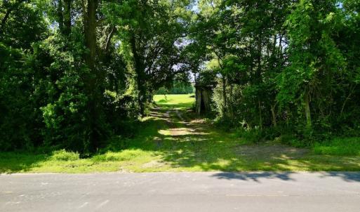 Photo #9 of SOLD property in Off Howell Swamp Church rd, Walstonburg, NC 26.1 acres