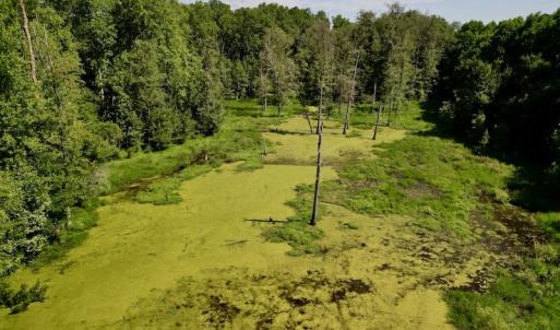 Photo #10 of SOLD property in Off Howell Swamp Church rd, Walstonburg, NC 26.1 acres