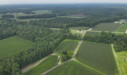 Photo #2 of SOLD property in Off Elkton Road, Clarkton, NC 45.6 acres