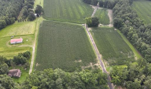 Photo #11 of SOLD property in Off Elkton Road, Clarkton, NC 45.6 acres